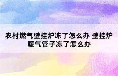 农村燃气壁挂炉冻了怎么办 壁挂炉暖气管子冻了怎么办